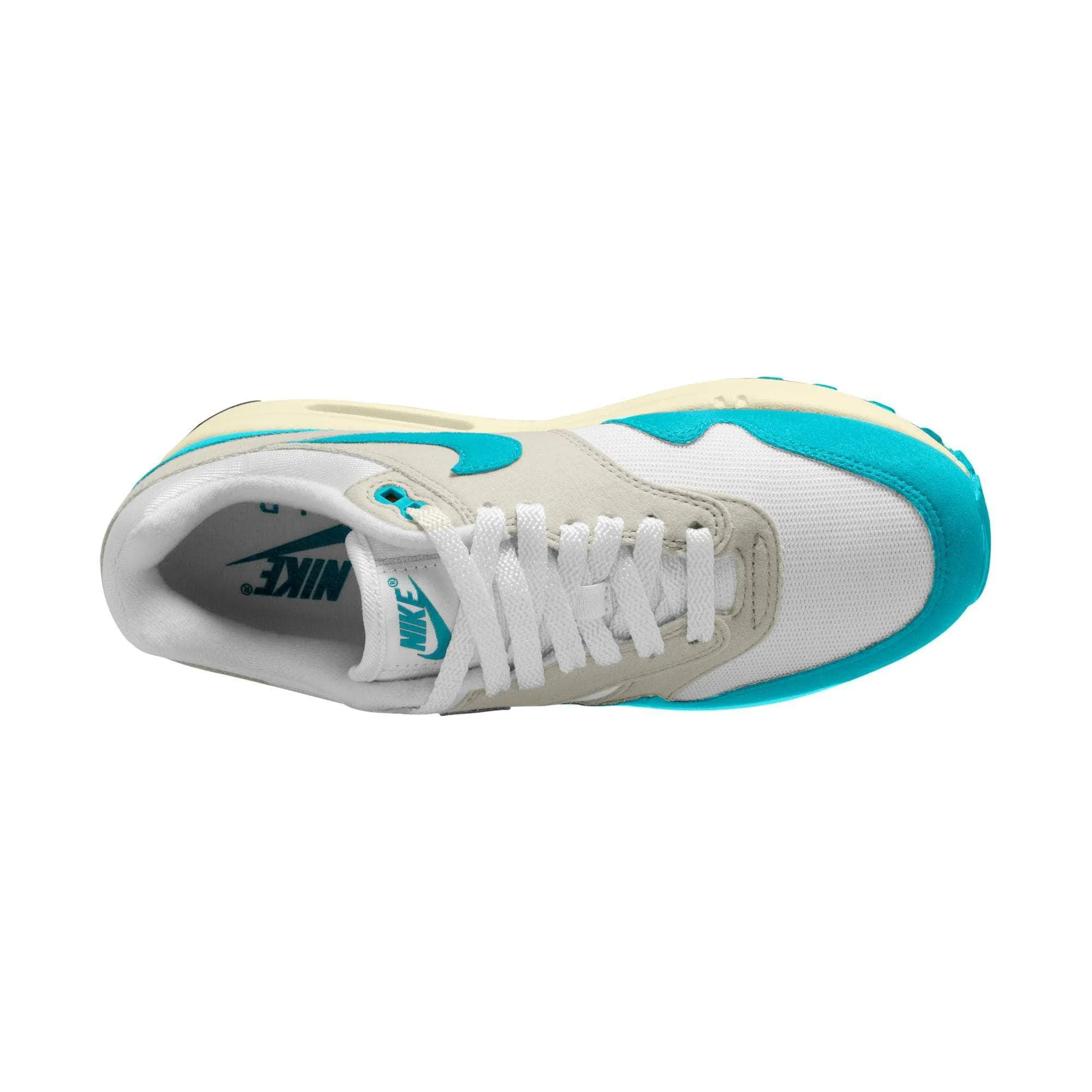 Nike Air Max 1 “Dusty Cactus” - Women's