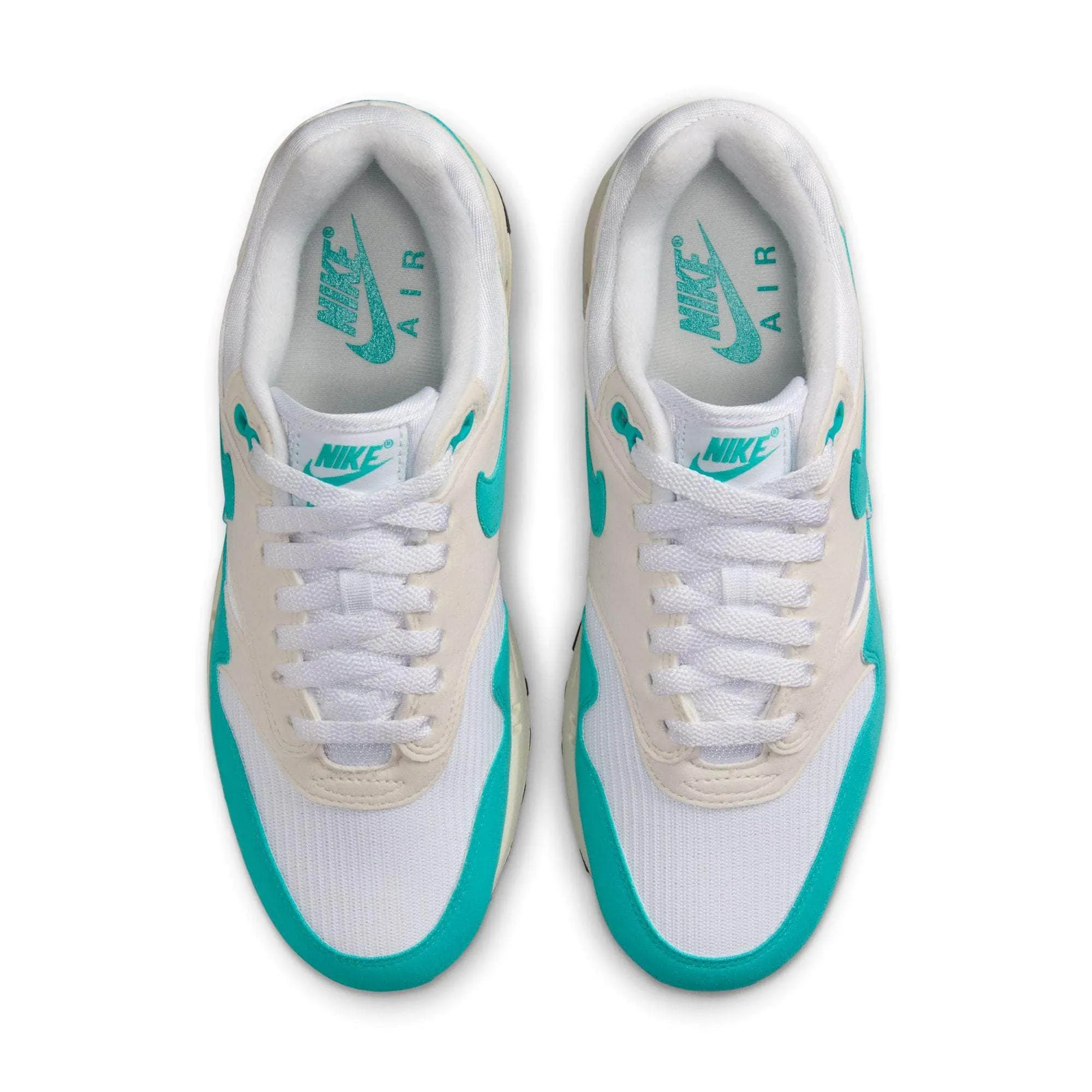 Nike Air Max 1 “Dusty Cactus” - Women's