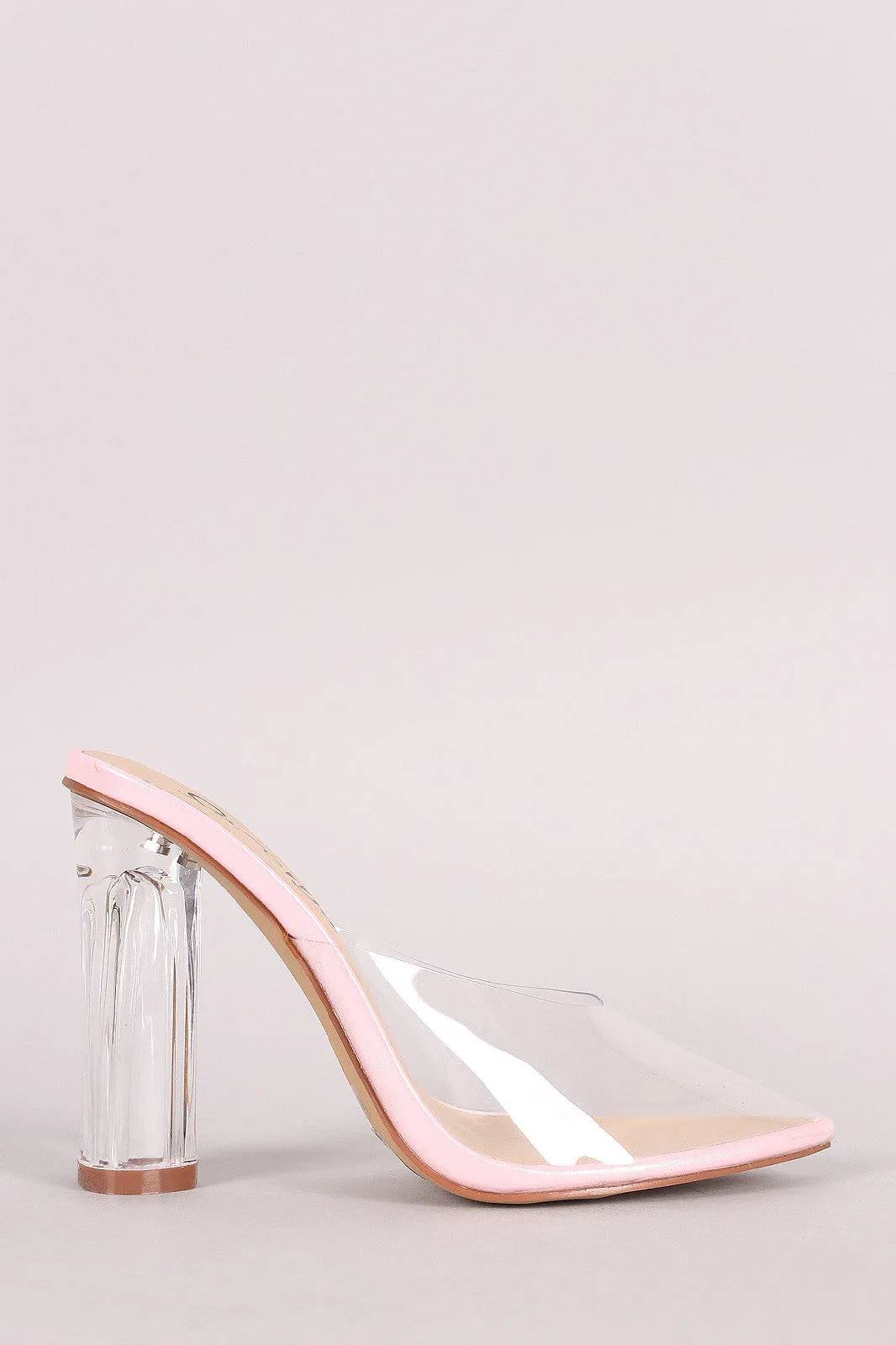 Transparent Pointy Toe Chunky Perspex Heel Mule Pump