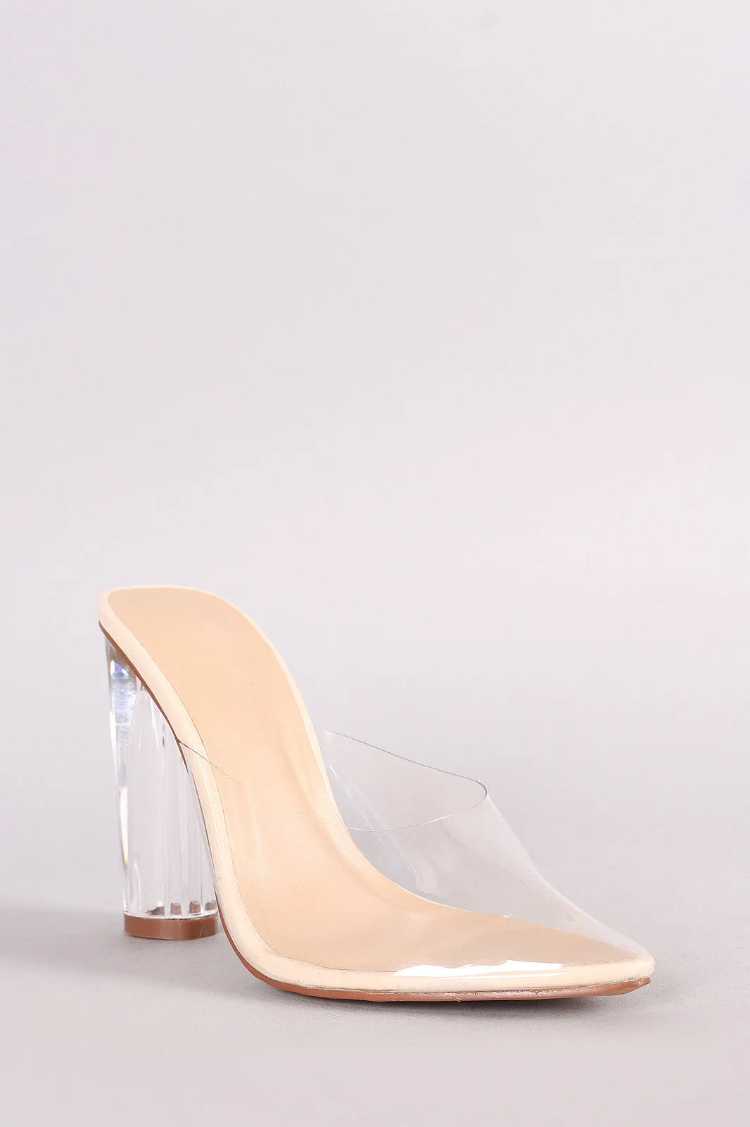 Transparent Pointy Toe Chunky Perspex Heel Mule Pump