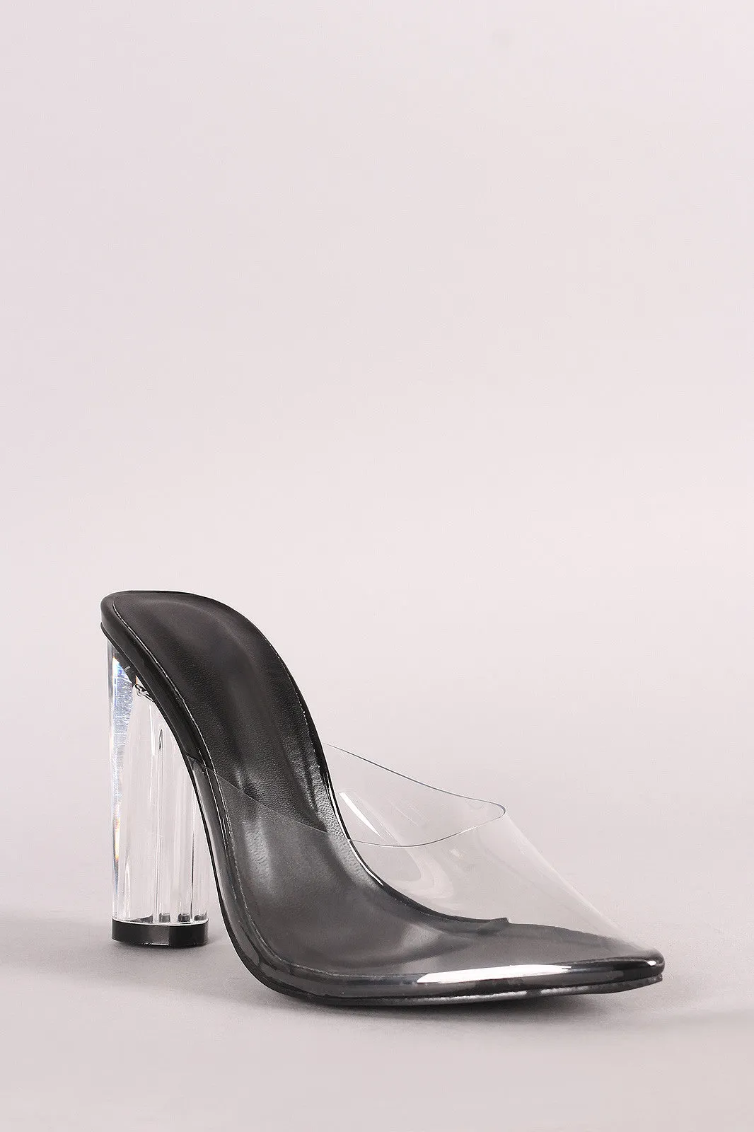 Transparent Pointy Toe Chunky Perspex Heel Mule Pump