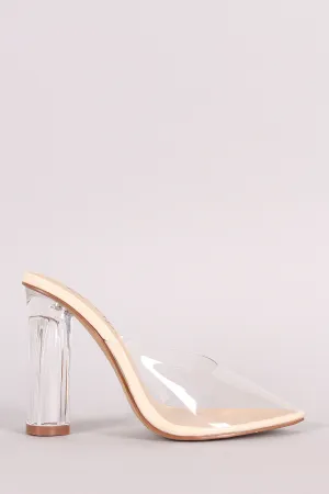 Transparent Pointy Toe Chunky Perspex Heel Mule Pump