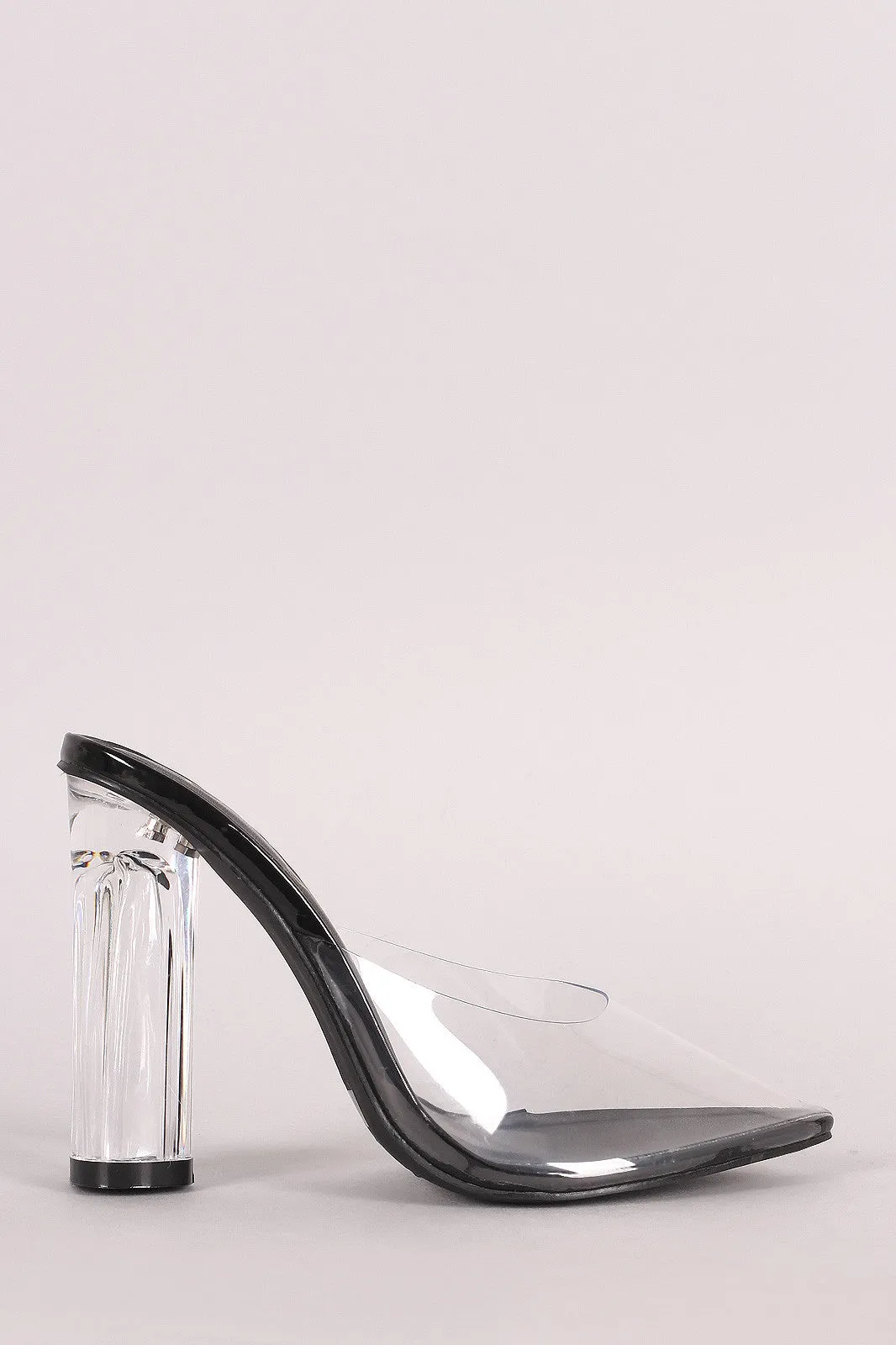 Transparent Pointy Toe Chunky Perspex Heel Mule Pump