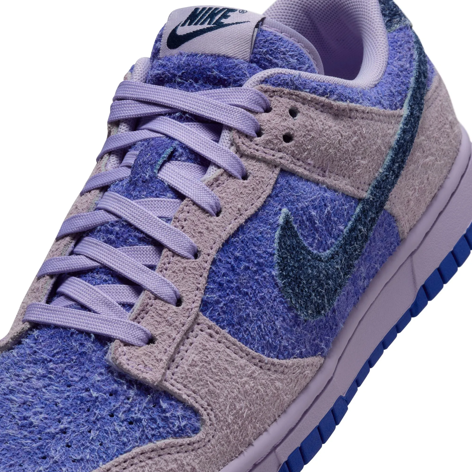 WMNS Nike Dunk Low Retro SE